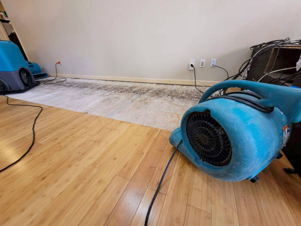Reliable Basement Flood Cleanup contractor in Glenville, WV by Hirex Water Damage