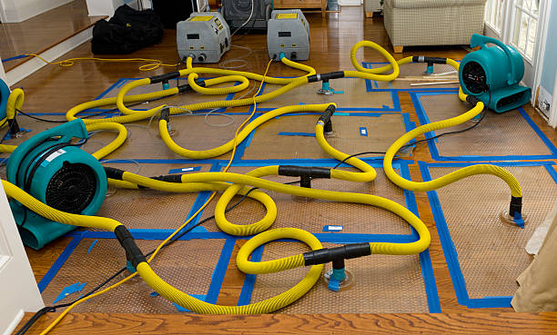 Professional Basement Flood Cleanup technician working in Glenville, WV