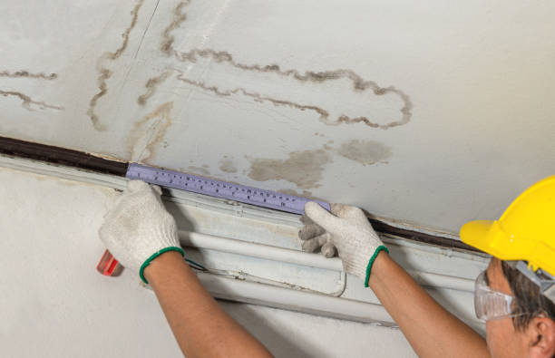 Affordable Basement Flood Cleanup solutions in Glenville, WV